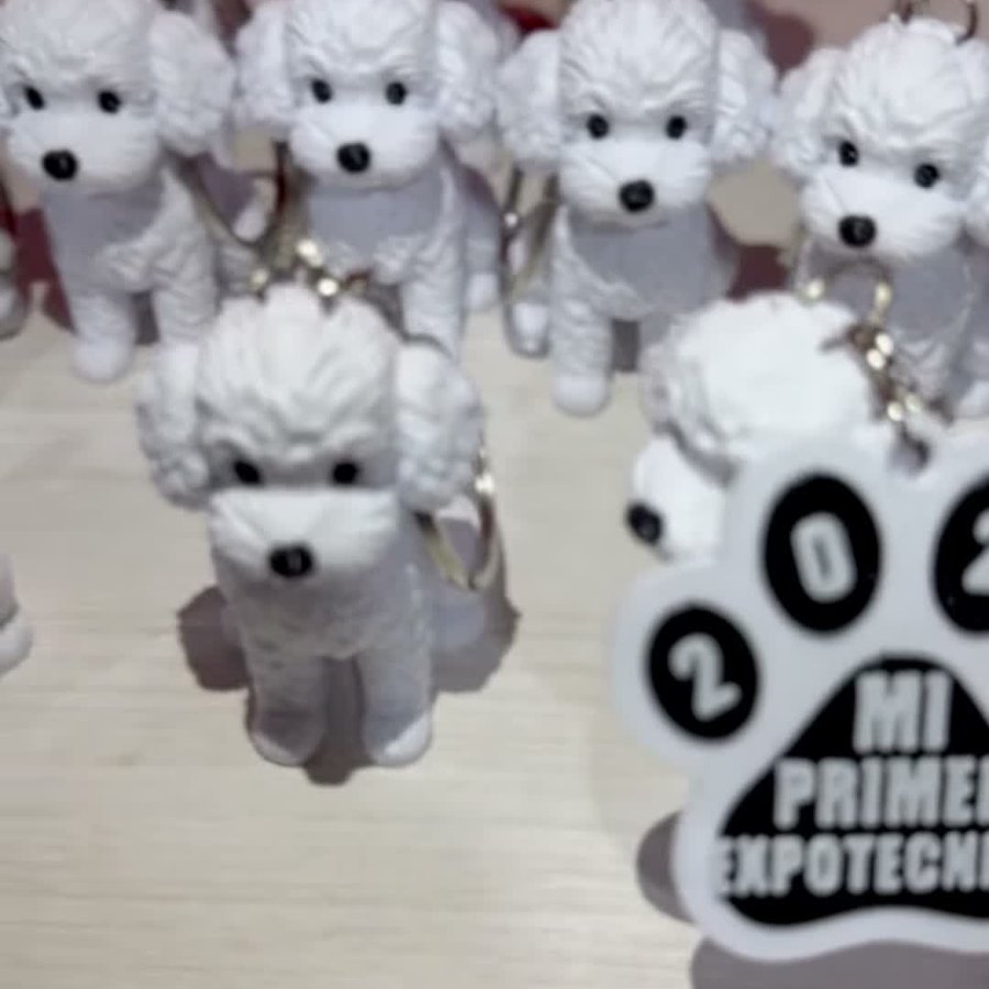 Llaveros de perrito con huellita grabada con el nombre de cada nene